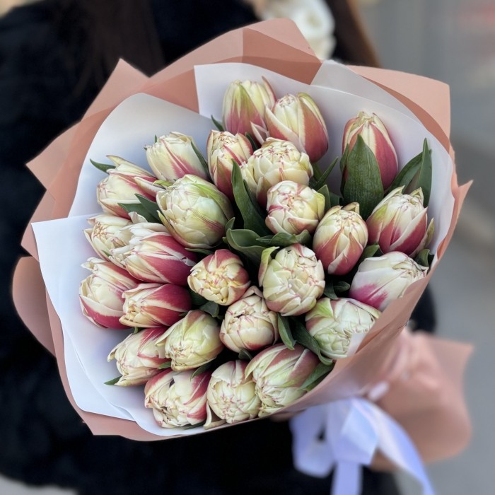 25 пионовидных тюльпанов Вермонт