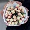 25 пионовидных тюльпанов Вермонт