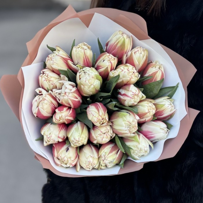 25 пионовидных тюльпанов Вермонт