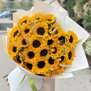 25 подсолнухов