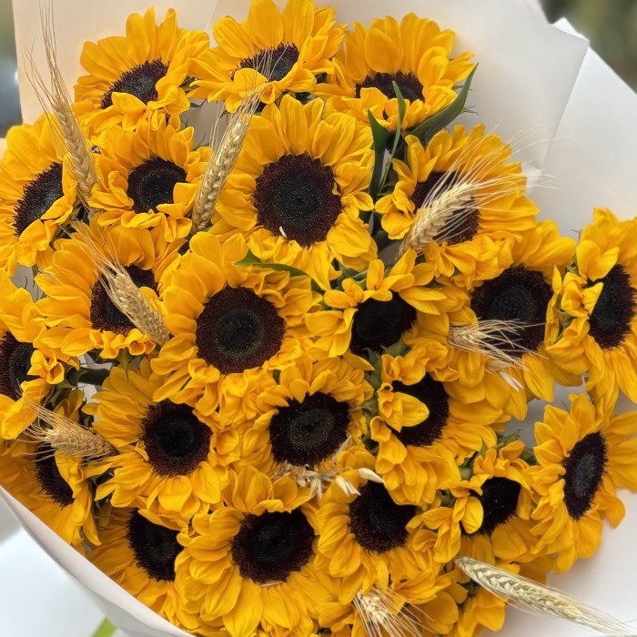 25 подсолнухов