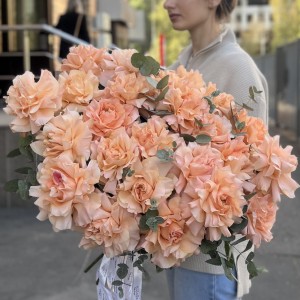 25 пышных абрикосовых роз Принцес Краун с эвкалиптом