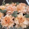 25 пышных абрикосовых роз Принцес Краун с эвкалиптом в корзине