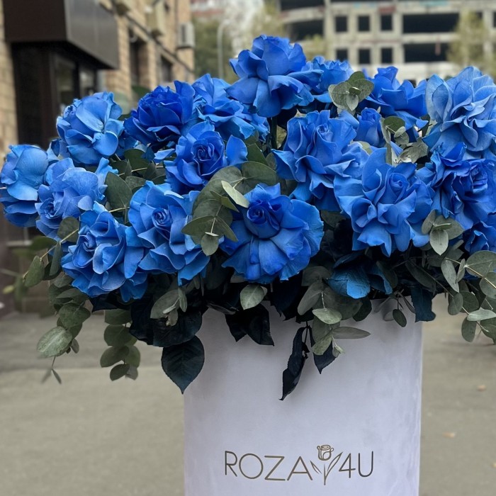 25 пышных голубых роз с эвкалиптом в коробке