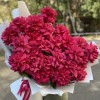 25 пышных малиновых роз Пинк Флойд
