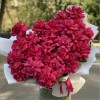 25 пышных малиновых роз Пинк Флойд