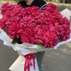 25 пышных малиновых роз Пинк Флойд