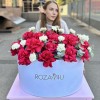25 пышных малиновых роз с гвоздикой в коробке