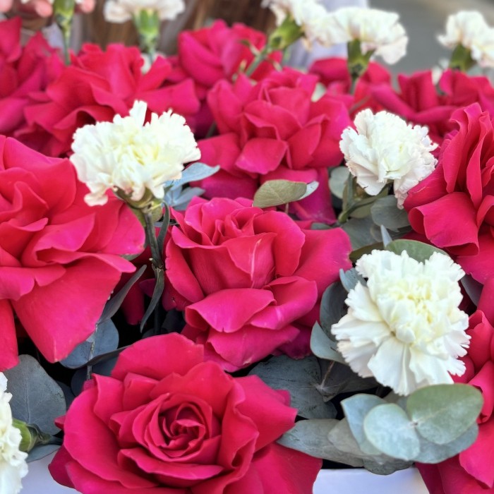 25 пышных малиновых роз с гвоздикой в коробке