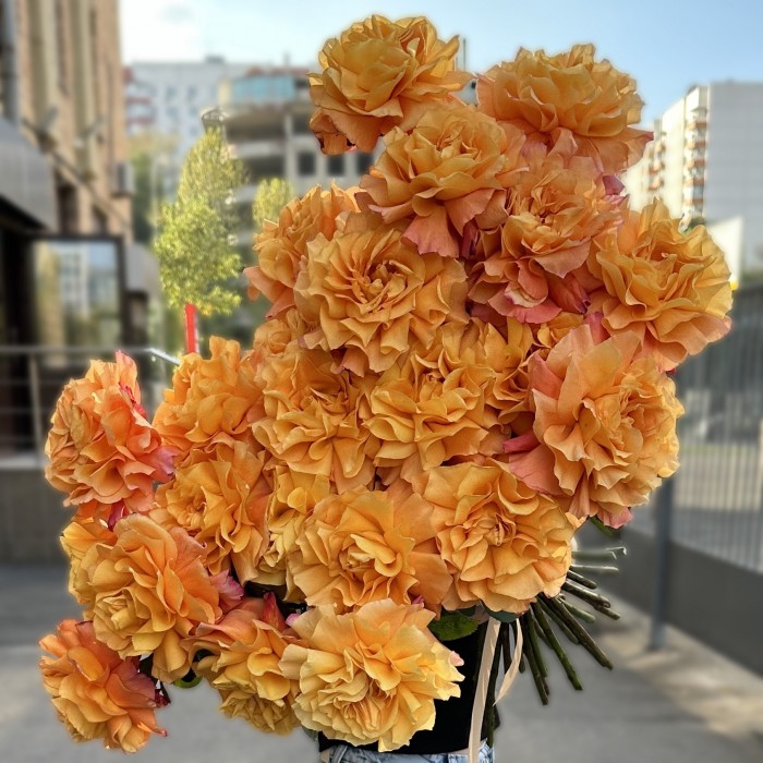 25 пышных роз Фри Спирит