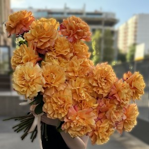 25 пышных роз Фри Спирит 50 см