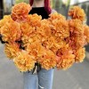 25 пышных роз Фри Спирит