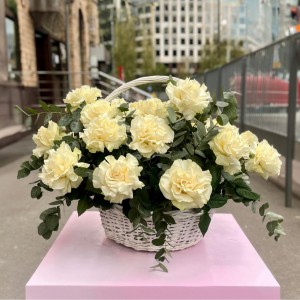 25 пышных роз Мондиаль с эвкалиптом в корзине