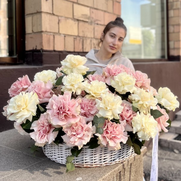 51 пышная розовая и белая роза Мондиаль в корзине