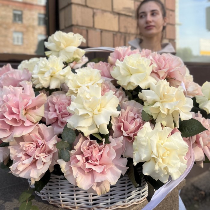 51 пышная розовая и белая роза Мондиаль в корзине