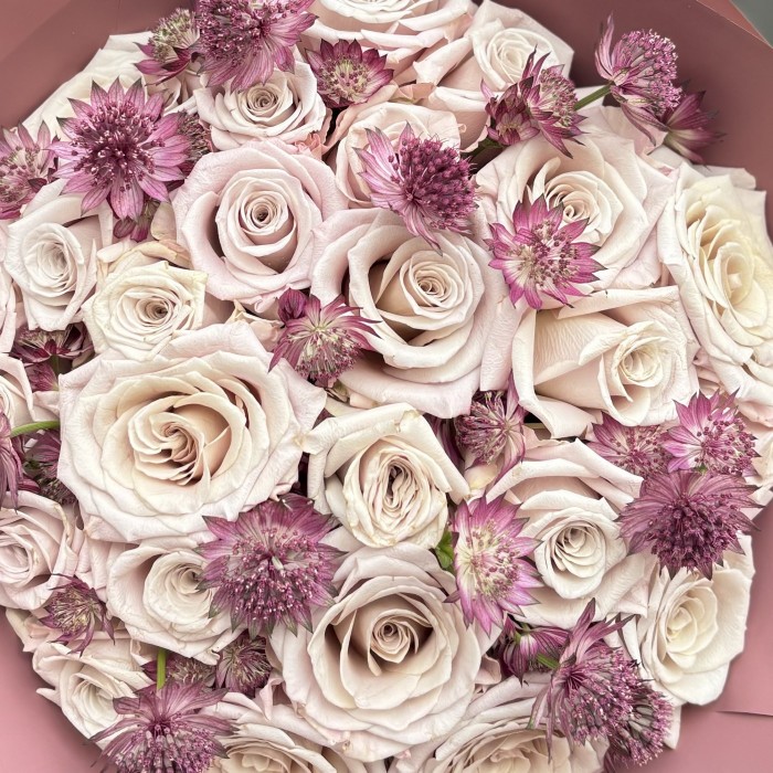 25 роз Мента с астранцией