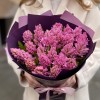 25 розовых гиацинтов