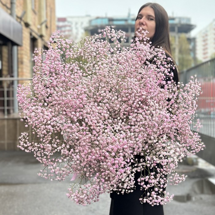 25 розовых гипсофил