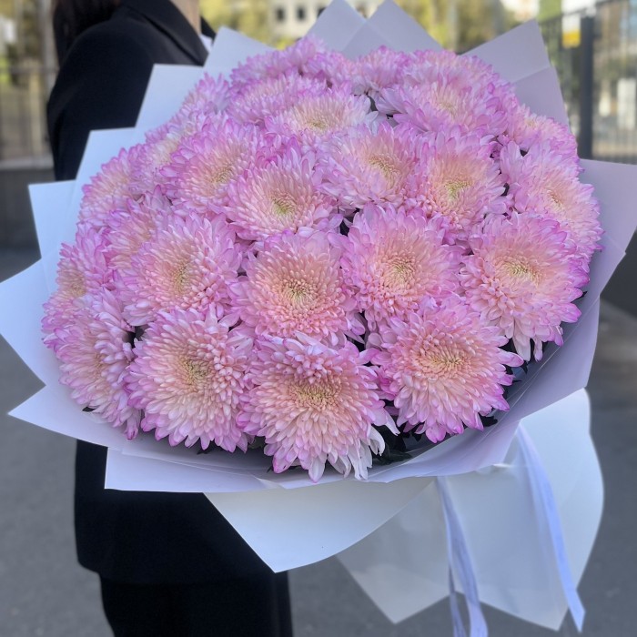 25 розовых хризантем Минка