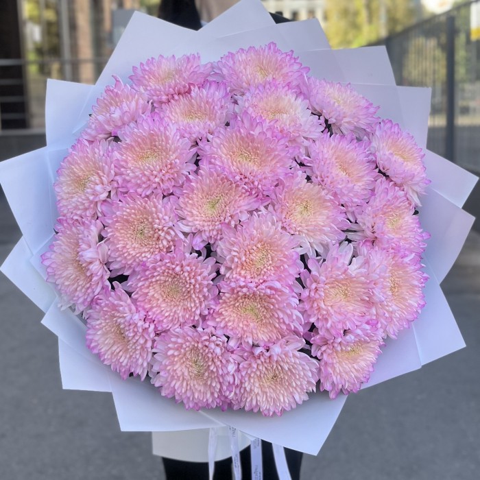 25 розовых хризантем Минка