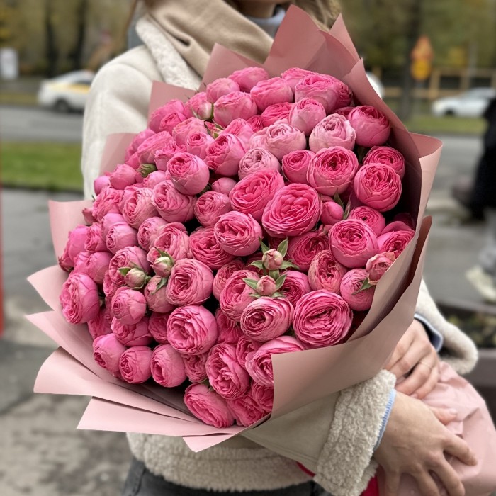 25 розовых кустовых пионовидных роз Жизель