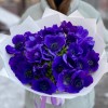 25 синих анемонов