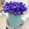 25 синих ирисов в коробке
