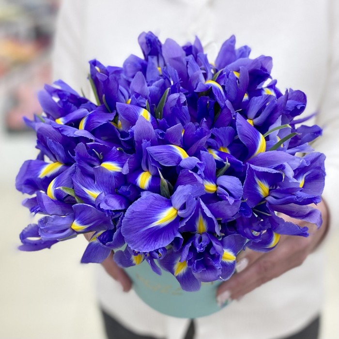 25 синих ирисов в коробке
