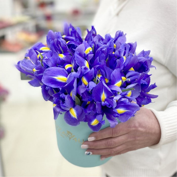 25 синих ирисов в коробке