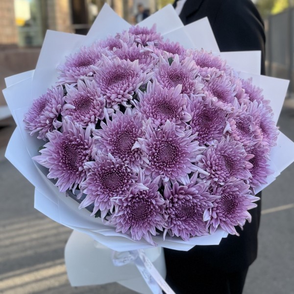 25 сиреневых хризантем