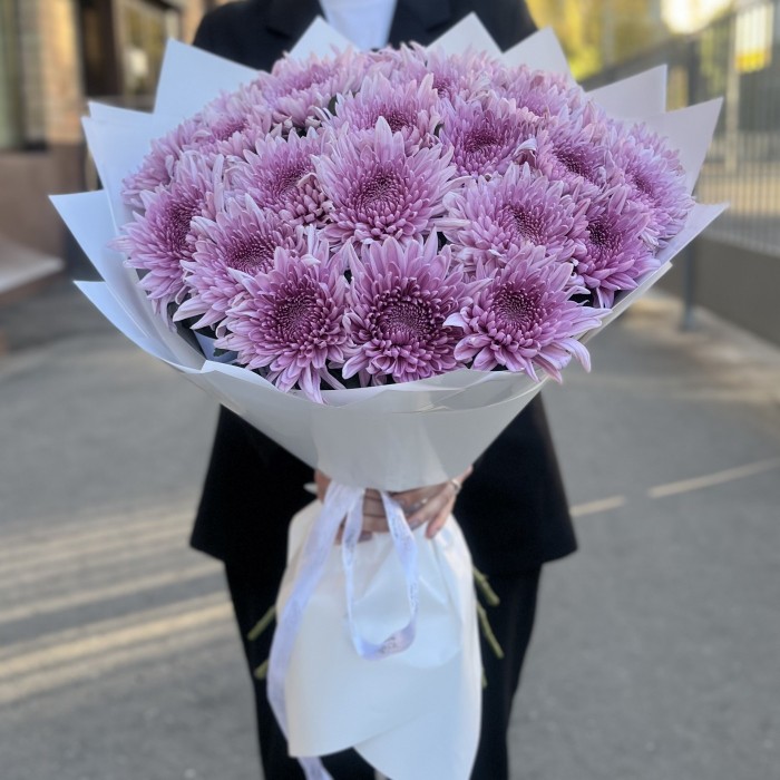 25 сиреневых хризантем