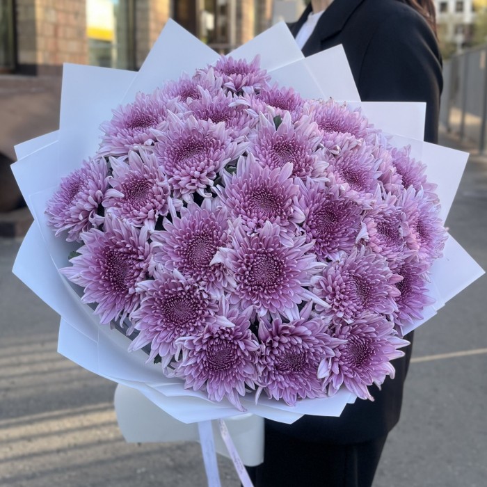 25 сиреневых хризантем