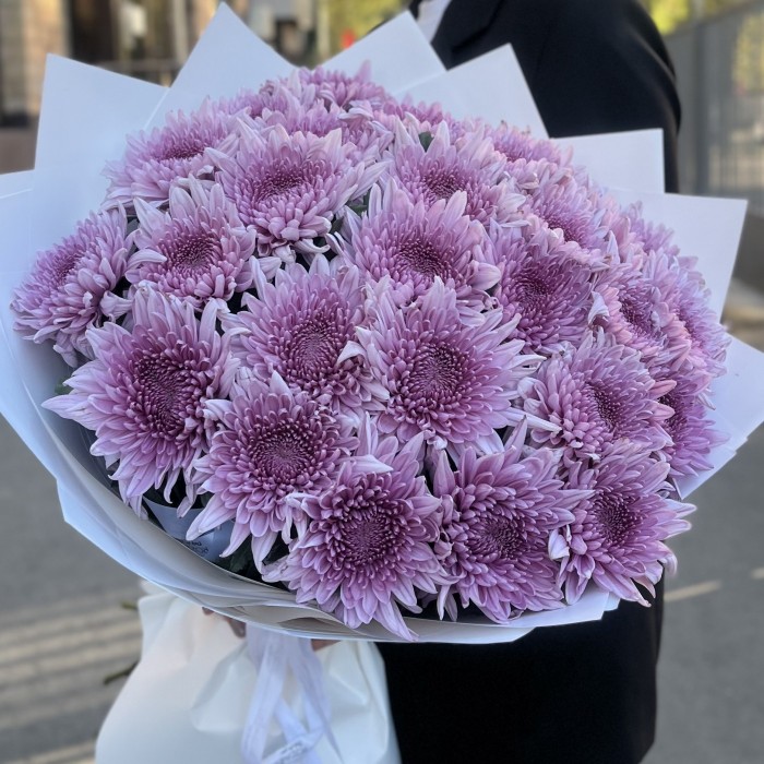 25 сиреневых хризантем