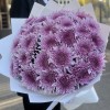 25 сиреневых хризантем