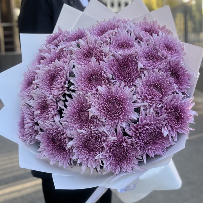 25 сиреневых хризантем