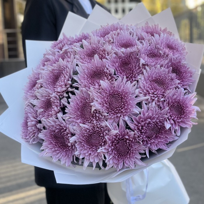 25 сиреневых хризантем