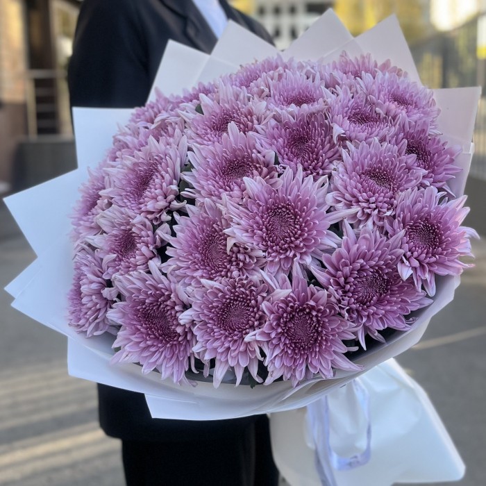 25 сиреневых хризантем