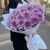 25 сиреневых хризантем