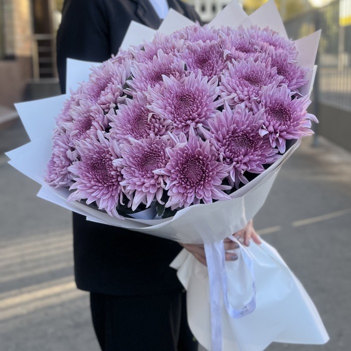 25 сиреневых хризантем