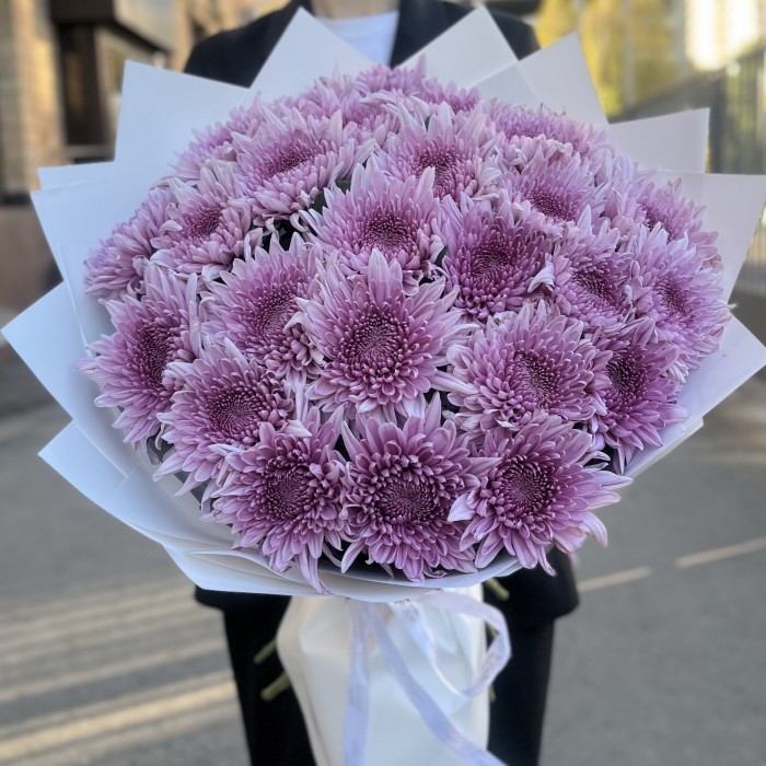 25 сиреневых хризантем
