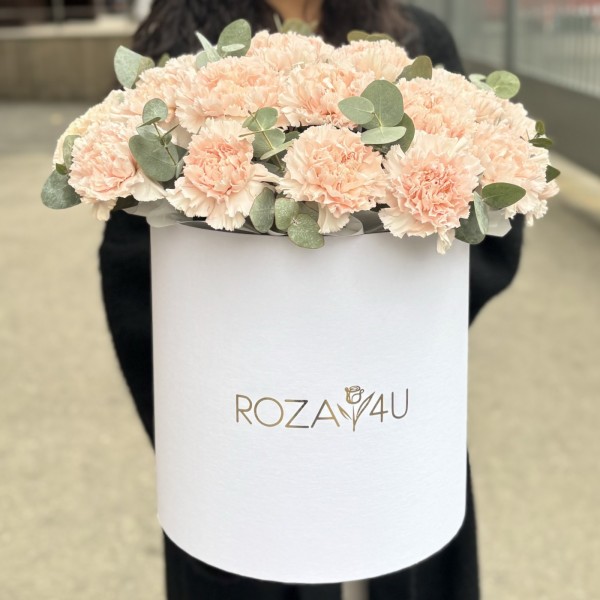 25 светло-розовых гвоздик с эвкалиптом в коробке