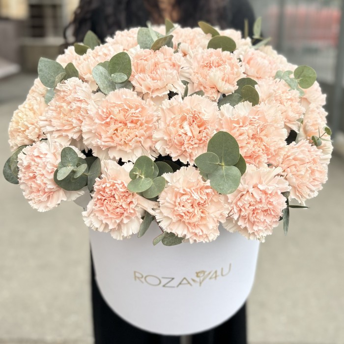 25 светло-розовых гвоздик с эвкалиптом в коробке