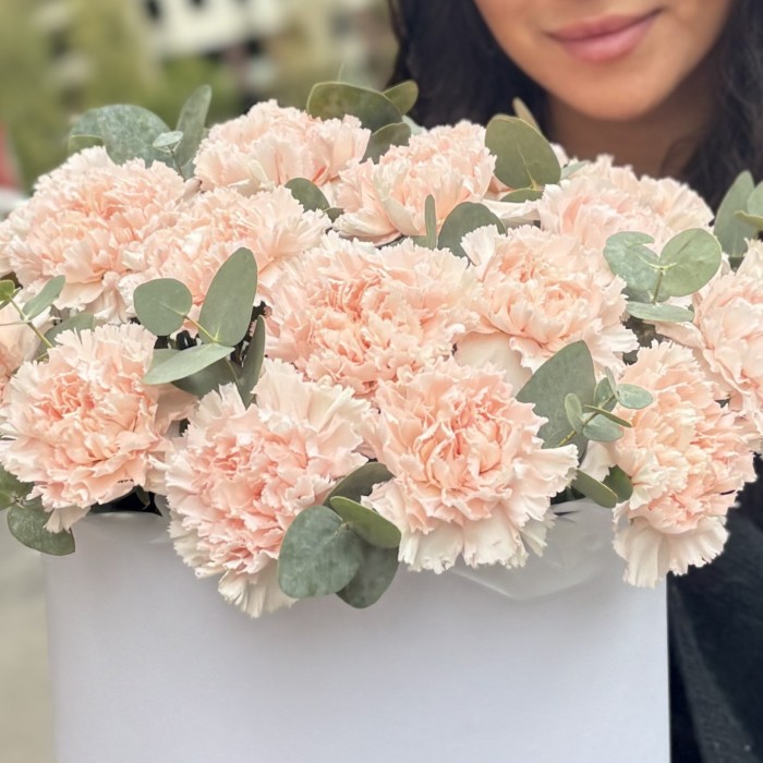 25 светло-розовых гвоздик с эвкалиптом в коробке