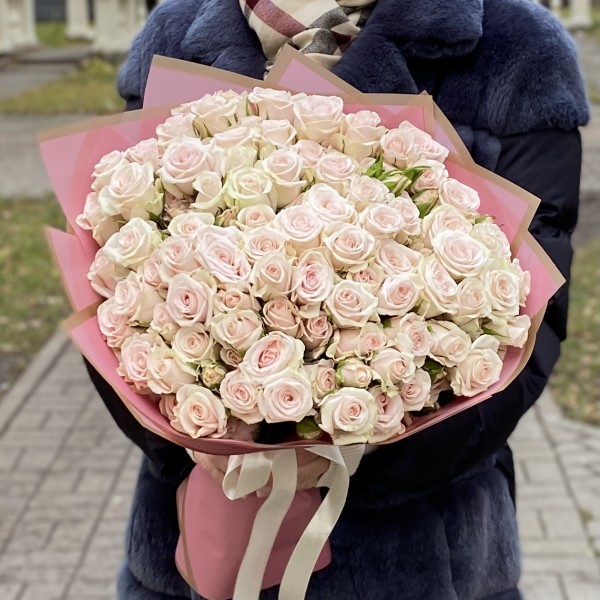 25 светло-розовых кустовых роз Роял Порцелина 40см