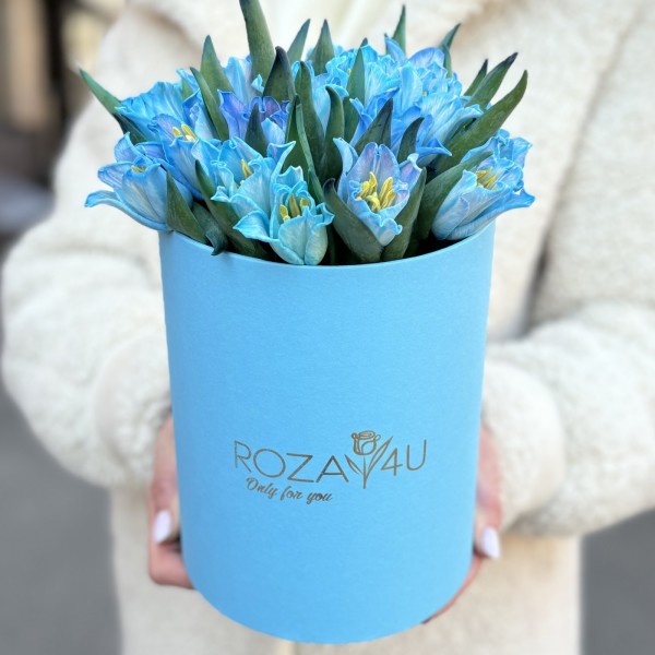 25 тюльпанов Лунный краун в коробке