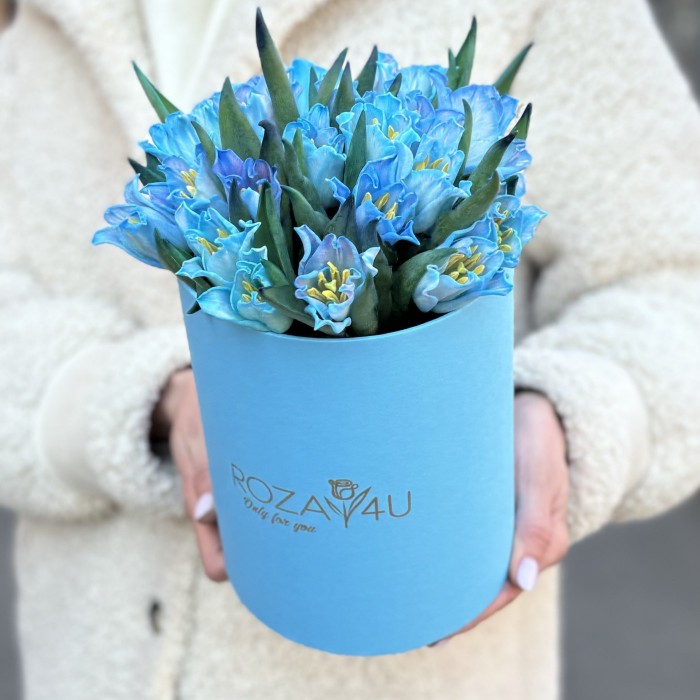 25 тюльпанов Лунный краун в коробке