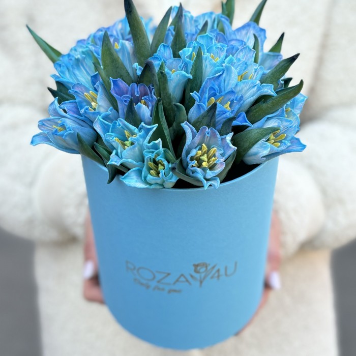 25 тюльпанов Лунный краун в коробке