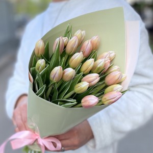 25 тюльпанов Марк Дизайн