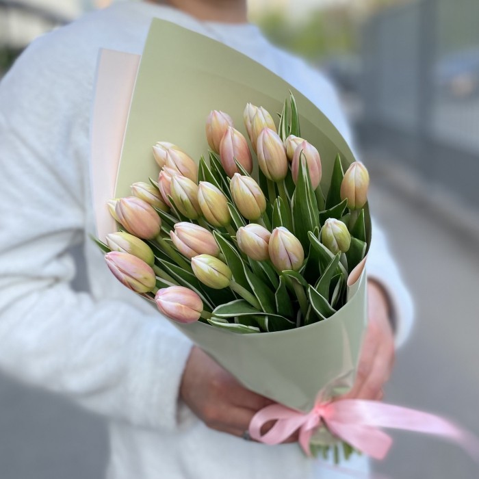 25 тюльпанов Марк Дизайн