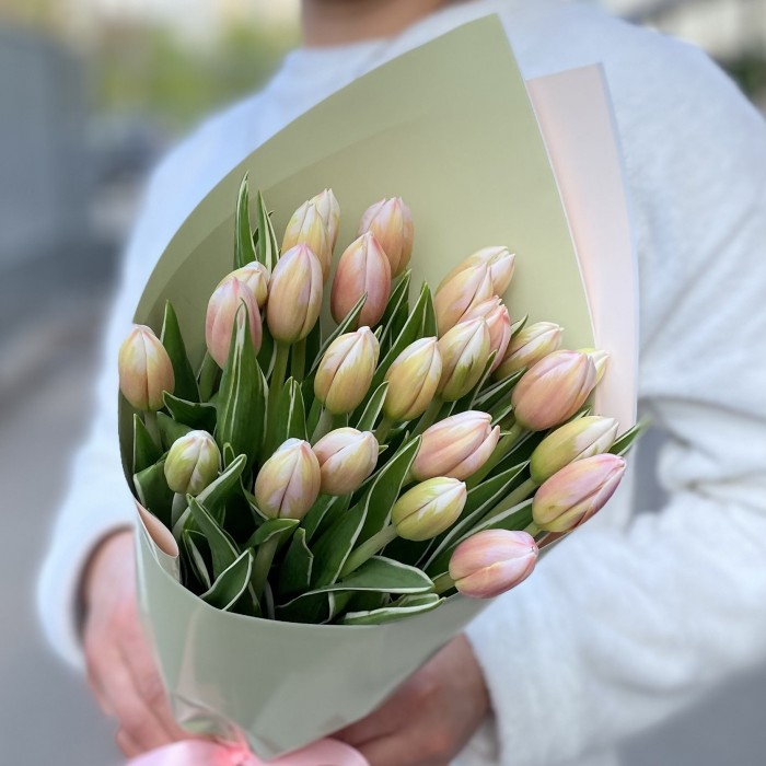 25 тюльпанов Марк Дизайн